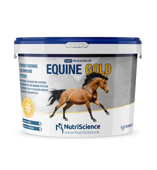 Equine Gold
