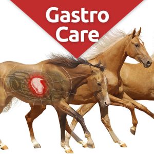 Gastrocare digestive health supplement for horses