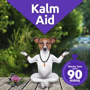 KalmAId calming solution for dogs