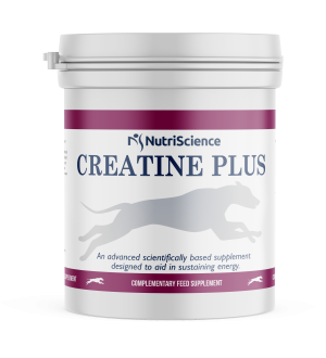 NutriScience Creatine Plus Greyhound Supplement