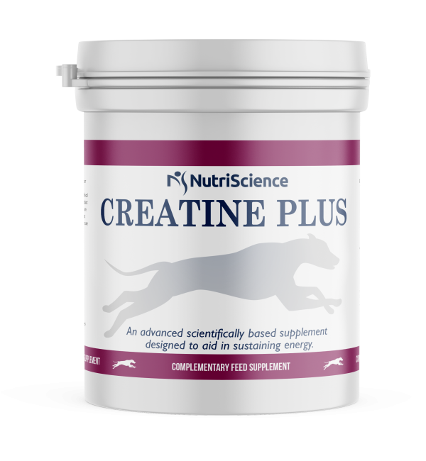 NutriScience Creatine Plus Greyhound Supplement