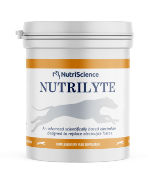 NutriScience Nutrilyte Greyhound Supplement