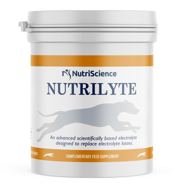 NutriScience Nutrilyte Greyhound Supplement