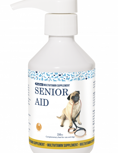 Senior_Aid