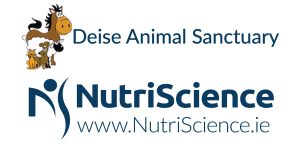 Deise Animal Sanctuary2021-01