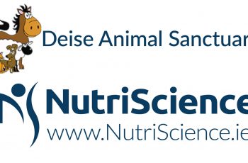 Deise Animal Sanctuary2021-01