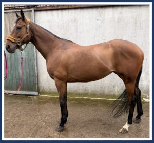 CAroline Marwood Testimonial Pic2026