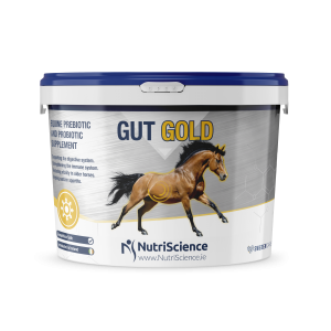 Gut Gold Equine Digestive Supplement