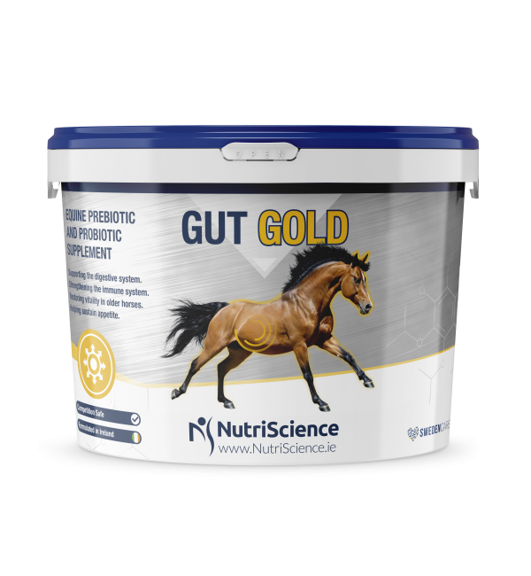 Gut Gold Equine Digestive Supplement