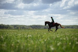 Managing Summer Ground Conditions