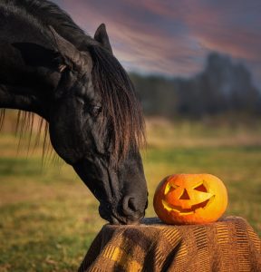 NutriScience Halloween Helpful Hints for Horse Owners 