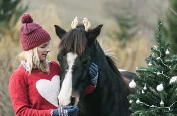 Christmas Care Tips for Horse Owners