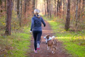 Exercise Ideas For You and Your Pet To Enjoy 