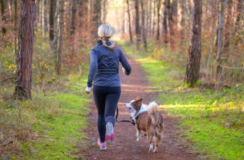 Exercise Ideas For You and Your Pet To Enjoy