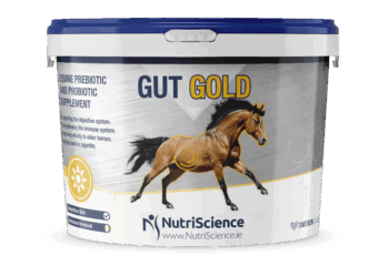 Gut Gold Equine Digestive Supplement