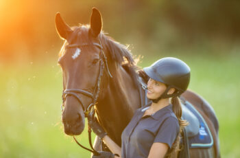 Calming Tips for Horse Owners