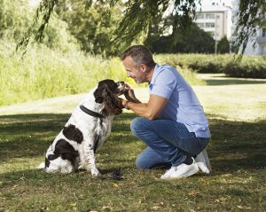 Pet Dental Health Awareness Month