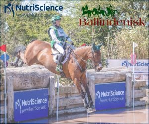 Ballindenisk Spring Image2026